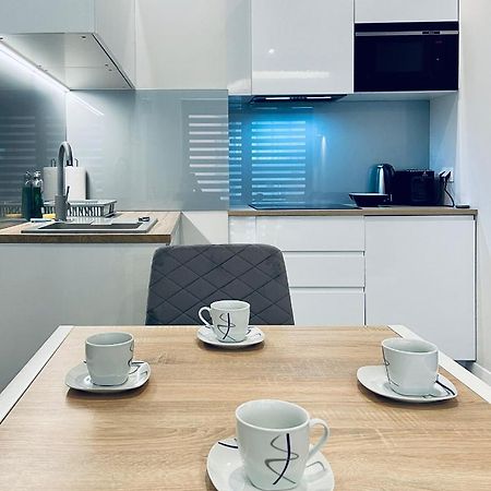 Modern Silver Apartment Krasków Εξωτερικό φωτογραφία