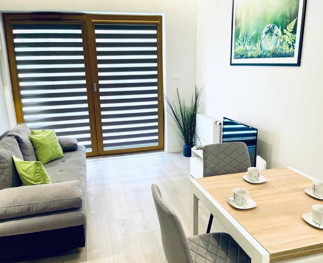 Modern Silver Apartment Krasków Εξωτερικό φωτογραφία