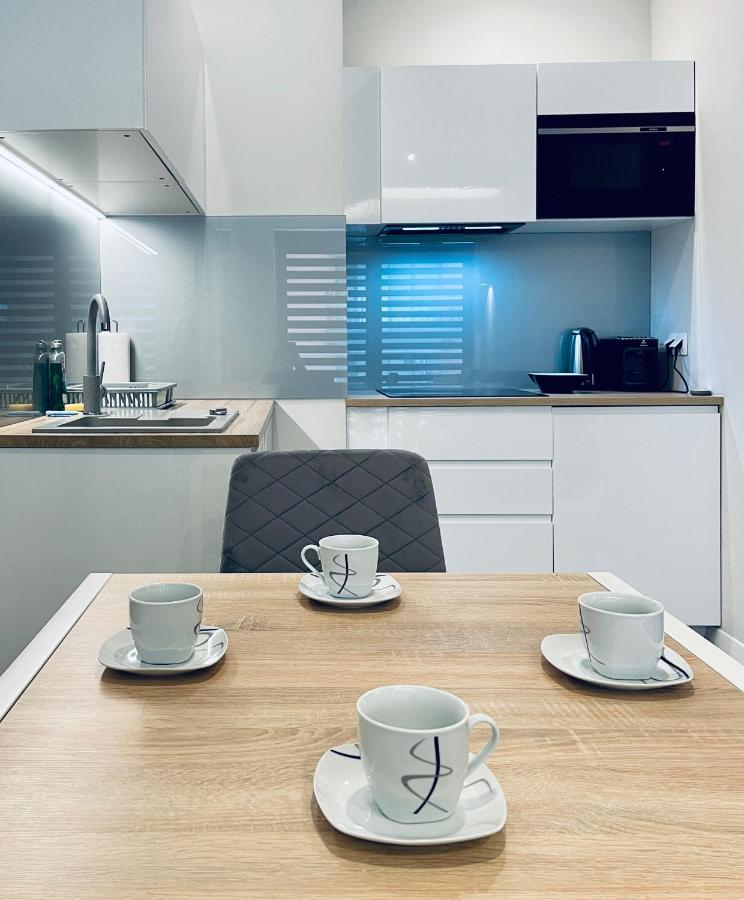 Modern Silver Apartment Krasków Εξωτερικό φωτογραφία