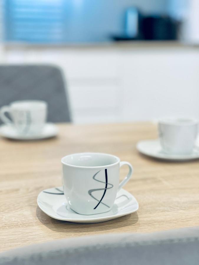Modern Silver Apartment Krasków Εξωτερικό φωτογραφία