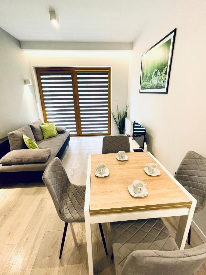 Modern Silver Apartment Krasków Εξωτερικό φωτογραφία